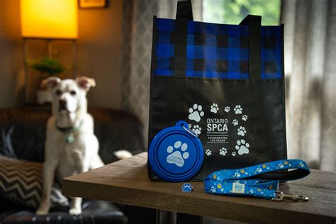 Support Ontario SPCA and Humane Society.